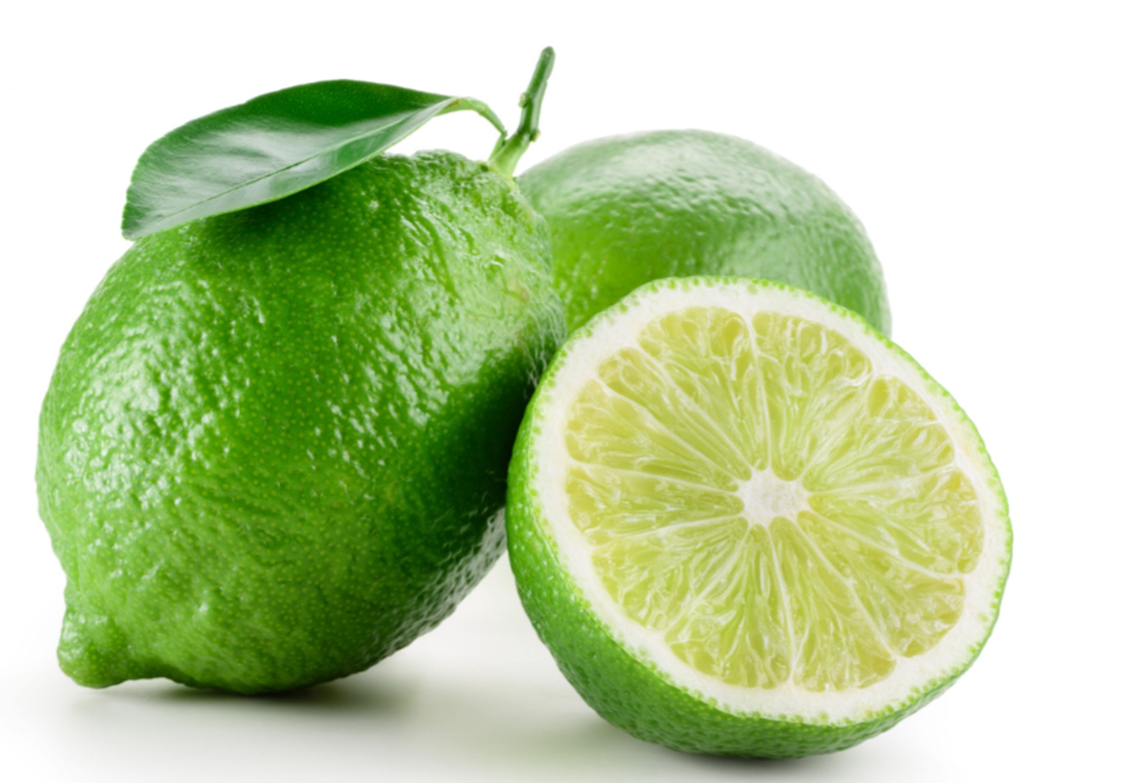 The Limes